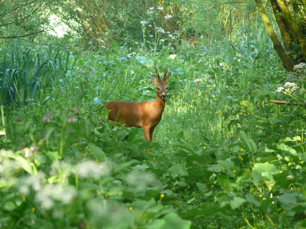 De Brabantse Biesbosch Hotel Werkendam Luaran gambar
