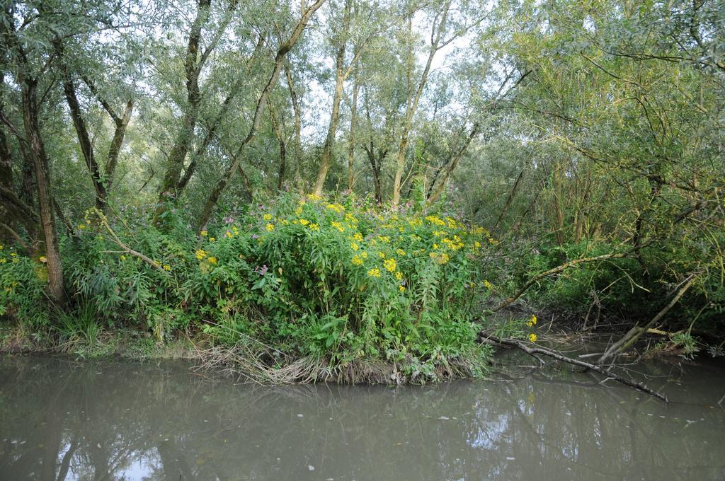 De Brabantse Biesbosch Hotel Werkendam Luaran gambar