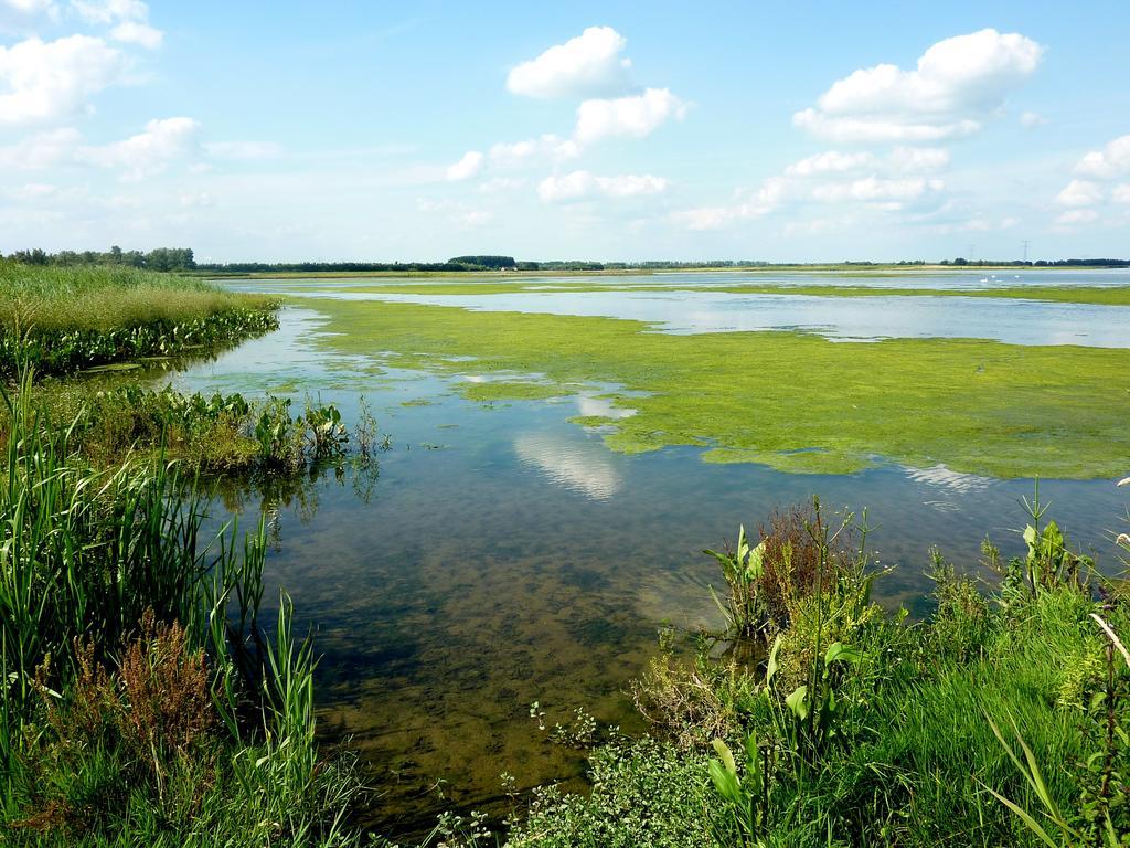 De Brabantse Biesbosch Hotel Werkendam Luaran gambar