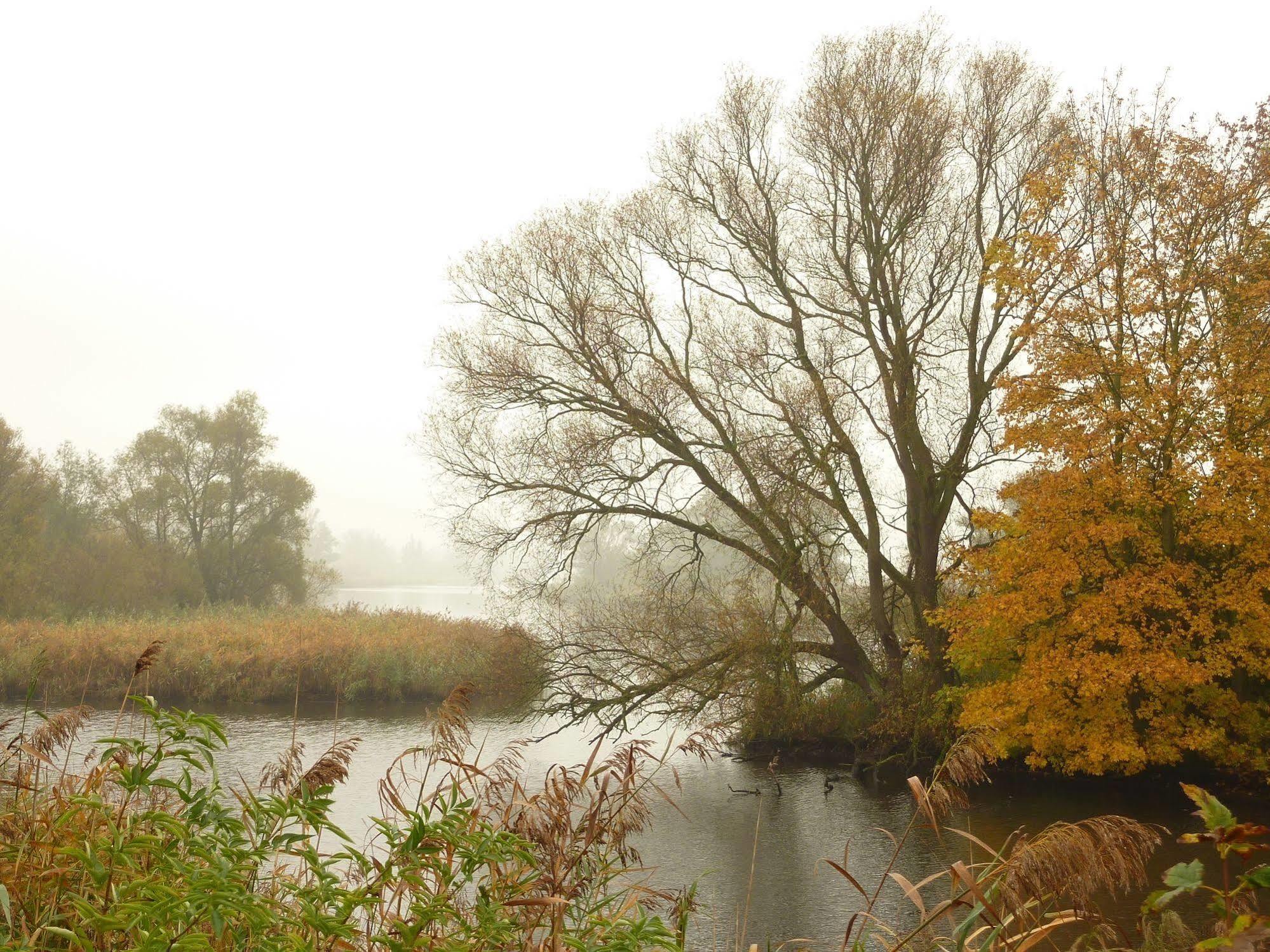 De Brabantse Biesbosch Hotel Werkendam Luaran gambar