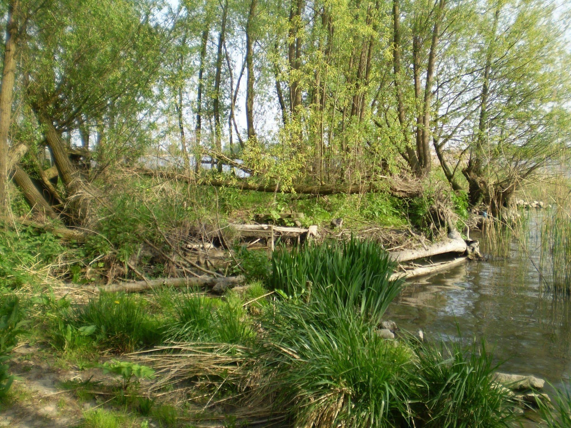 De Brabantse Biesbosch Hotel Werkendam Luaran gambar